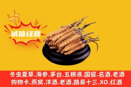 绍兴上虞区回收冬虫夏草